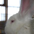 thumb_IMG_4812_1024.jpg