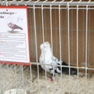thumb_IMG_4840_1024.jpg