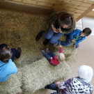 thumb_IMG_4847_1024.jpg