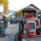 IMG_6537.jpg