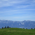 IMG_2791.jpg