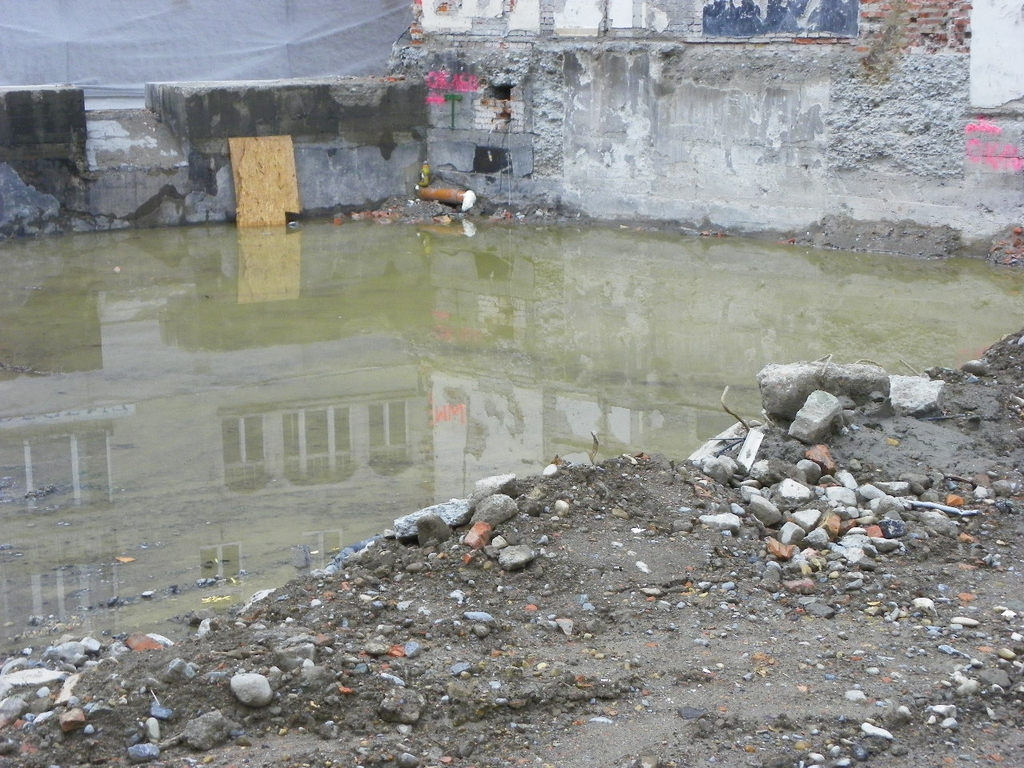 102_0655_jpg-1275655815