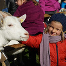 Ziegen und Pferde-27.jpg