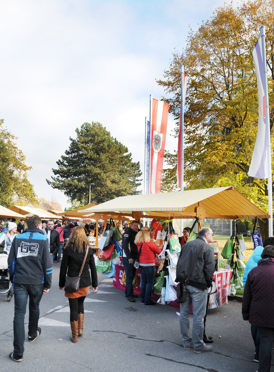 Markttag 2015 307.jpg