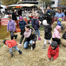 Markttag 2015 78.jpg