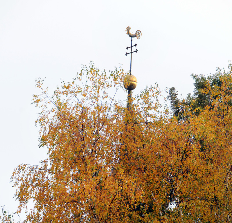 Markttag 2015 253.jpg