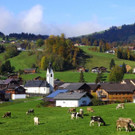 DSC04778.JPG