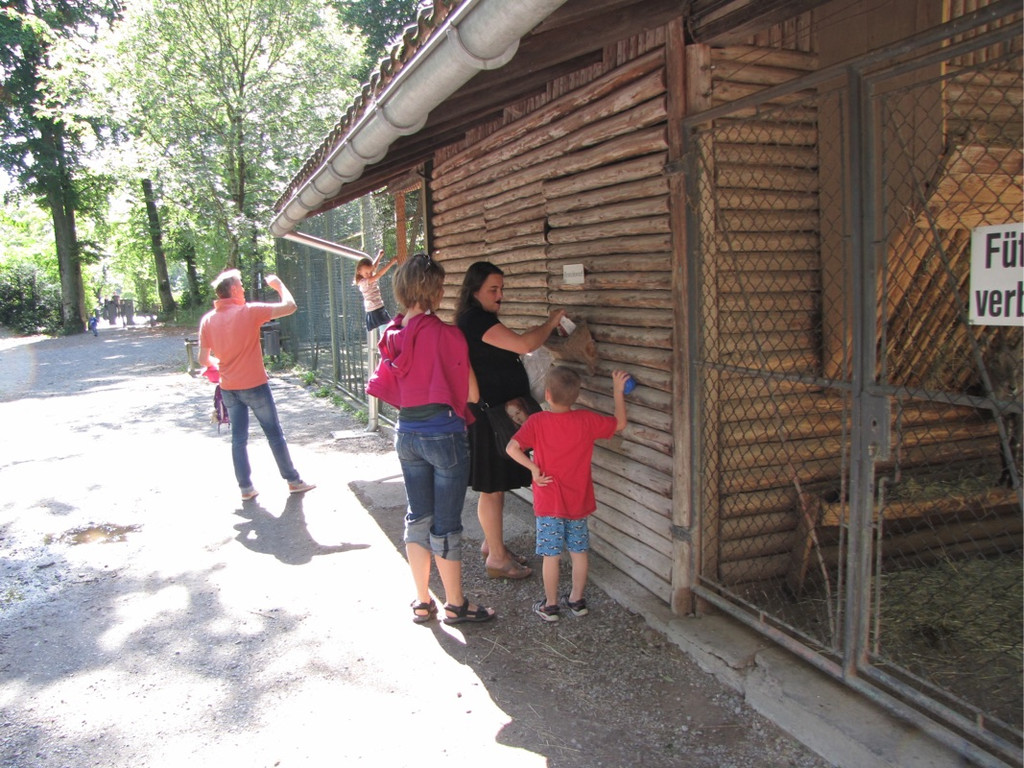 KOE_Wildpark Fuetterungsverbot 3.jpg