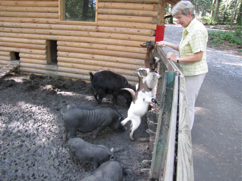 KOE_Wildpark Fuetterungsverbot 5.jpg