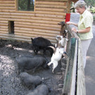 KOE_Wildpark Fuetterungsverbot 5.jpg