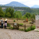 KOE_Wildpark Fuetterungsverbot 14.jpg