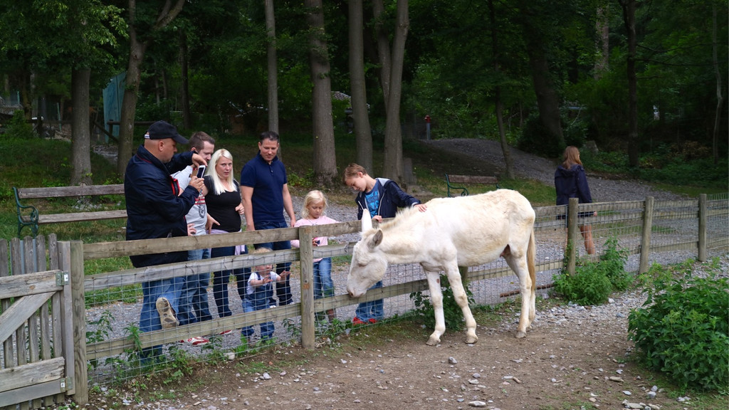 KOE_Wildpark Fuetterungsverbot 17.jpg