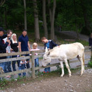 KOE_Wildpark Fuetterungsverbot 17.jpg
