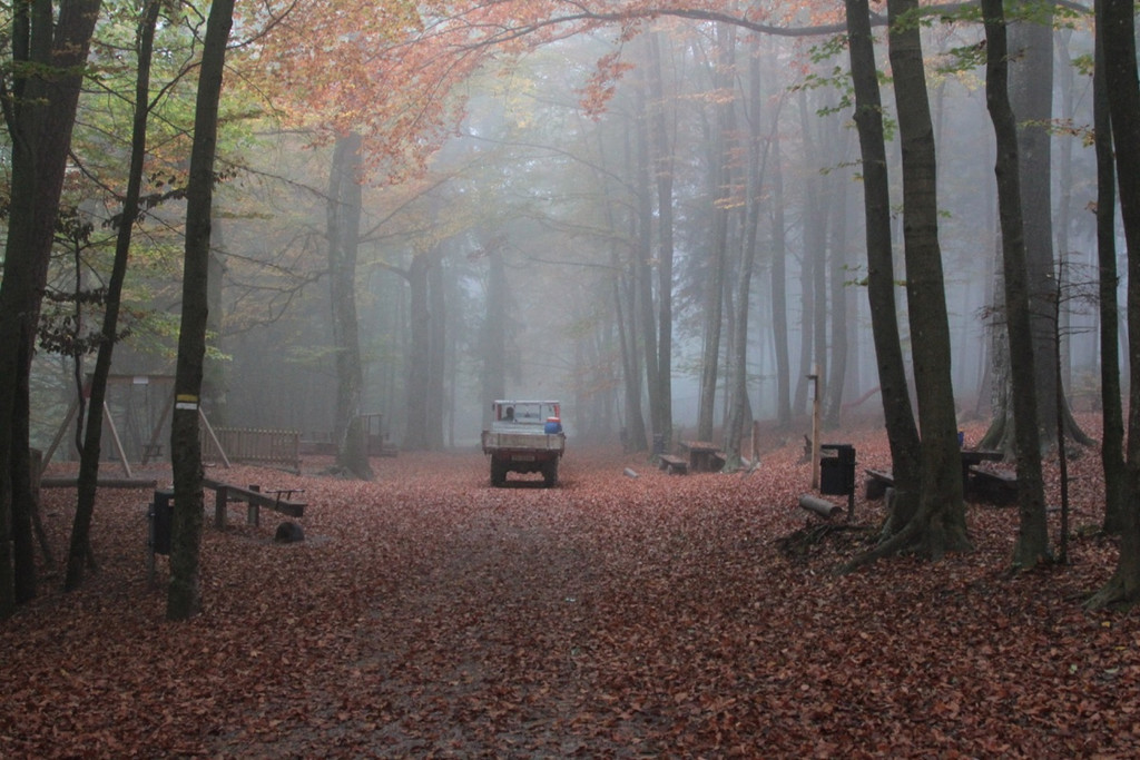 KOE_Wildpark Fuetterungsverbot 19.jpg