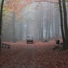 KOE_Wildpark Fuetterungsverbot 19.jpg