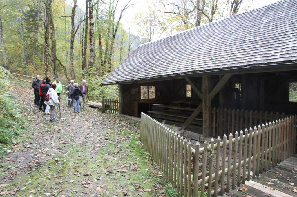 2015-10-22 SR-Gurtis kl _5_.JPG
