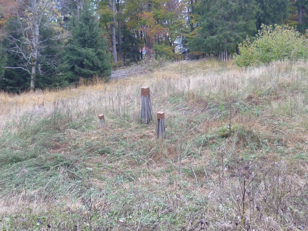 P1030818-5.jpg