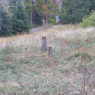 P1030818-5.jpg