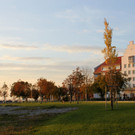 Sonnenuntergang am See HERBST 19-10-2011 _26_.jpg