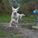 Wilma