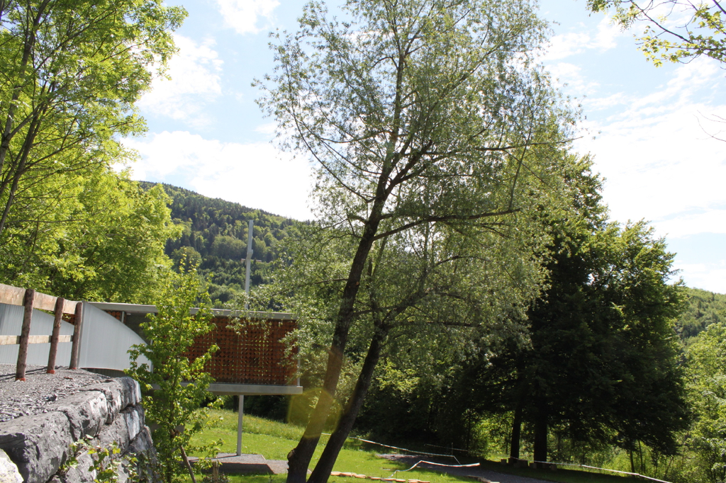 Baufotos Mai 2010.jpg