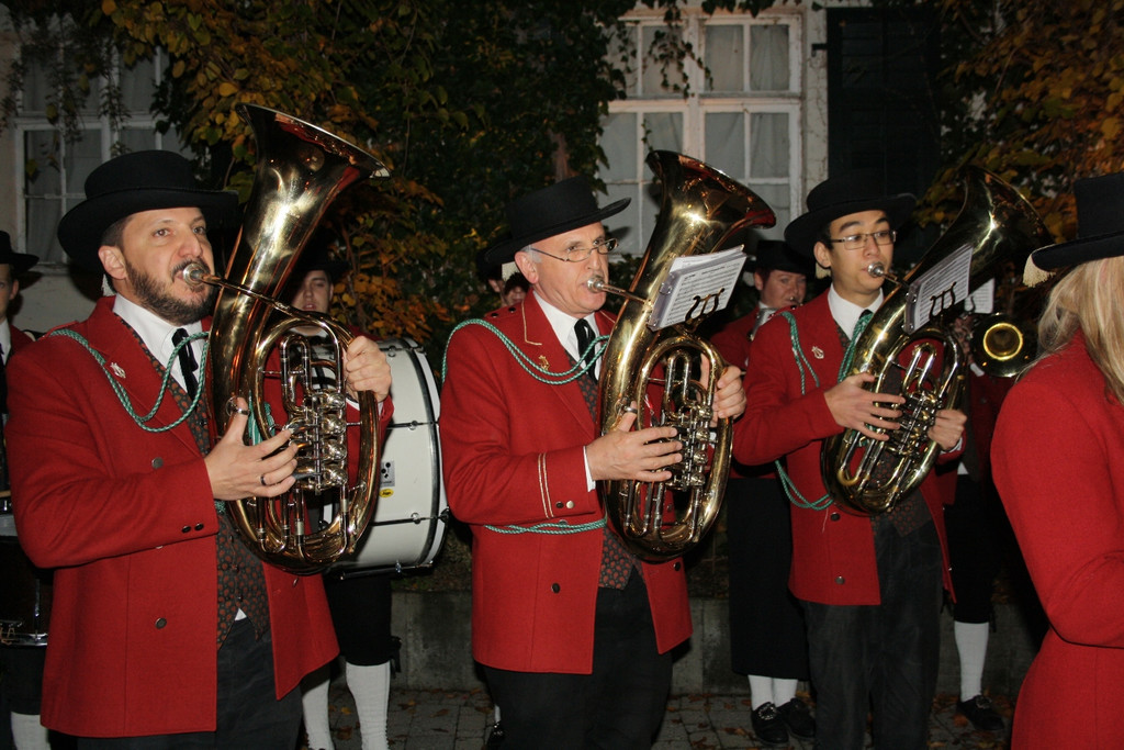 Sinz Xaver EHRENRINGVERLEIHUNG 2015 _11_.JPG