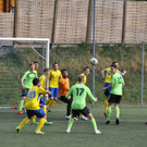 DSC_0497.JPG