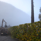 DSC_0512.JPG