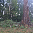 DSC_0517.JPG
