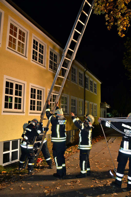 DSC_0474 _1_ Kopie.jpg