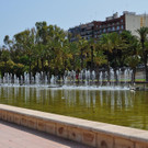 DSC_0317.JPG