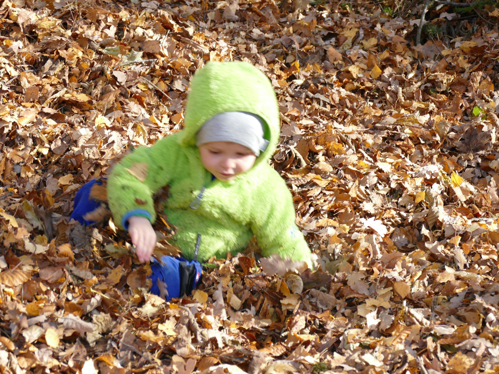 P1000845.JPG
