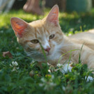 DSC03121.JPG