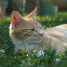 DSC03122.JPG