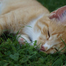 DSC03124.JPG