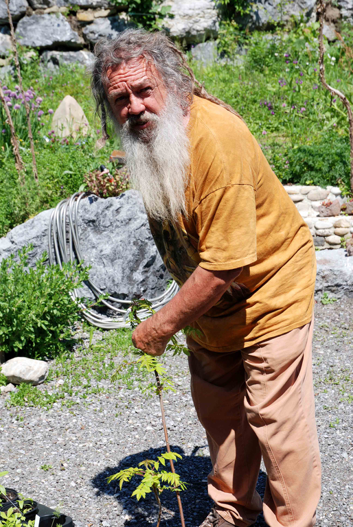Storl4.jpg