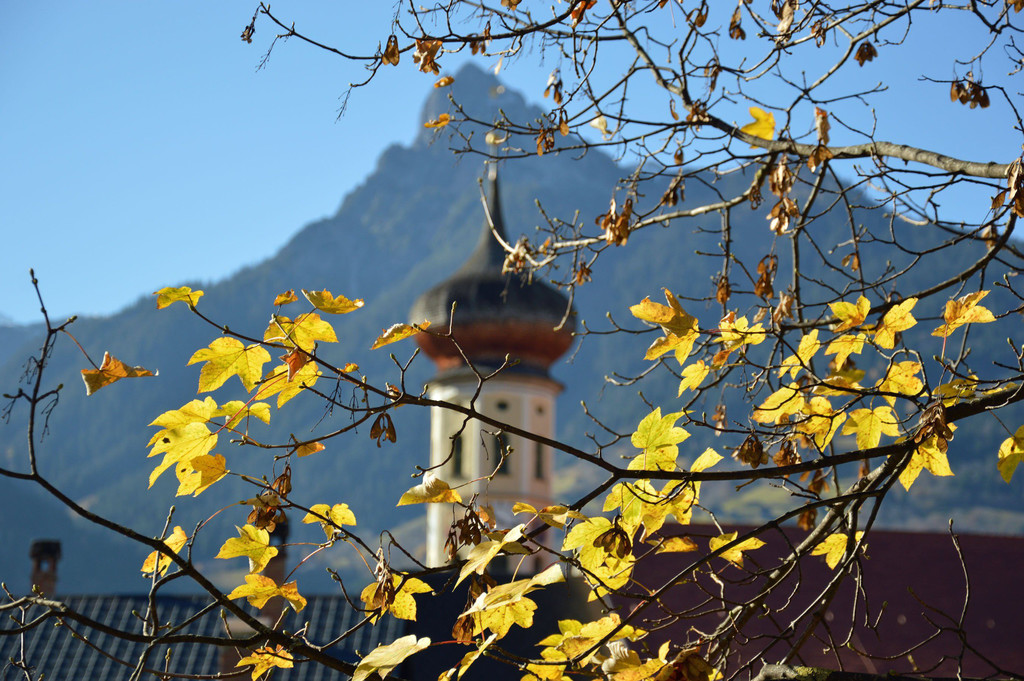 c_Gerhard_Scopoli_Herbst_Schruns_0960.jpg