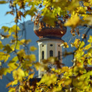 c_Gerhard_Scopoli_Herbst_Schruns_0970.jpg