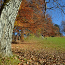 c_Gerhard_Scopoli_Herbst_Schruns_0988.jpg