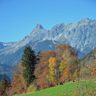 c_Gerhard_Scopoli_Herbst_Schruns_0004.jpg