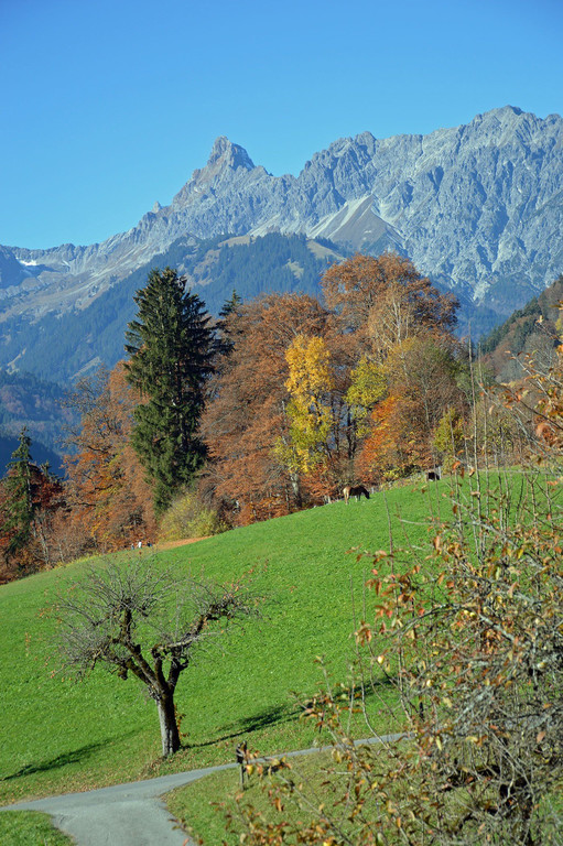 c_Gerhard_Scopoli_Herbst_Schruns_0004.jpg