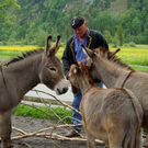 DSC02635.JPG