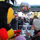 IMG_4929.jpg