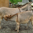 DSC02639.JPG