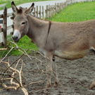DSC02643.JPG