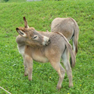 DSC02648.JPG