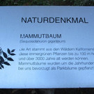 IMG_3495.jpg