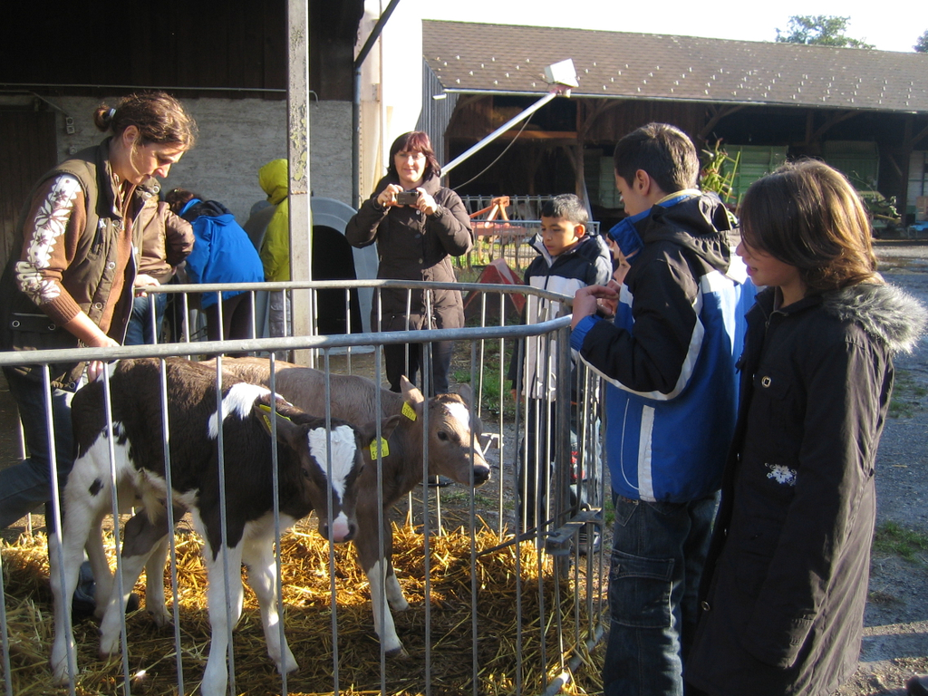 Bauernhof 010_jpg-1275817114
