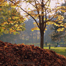 Goldener Herbst im Wiener Prater: Slackliner zeigen ihr Können