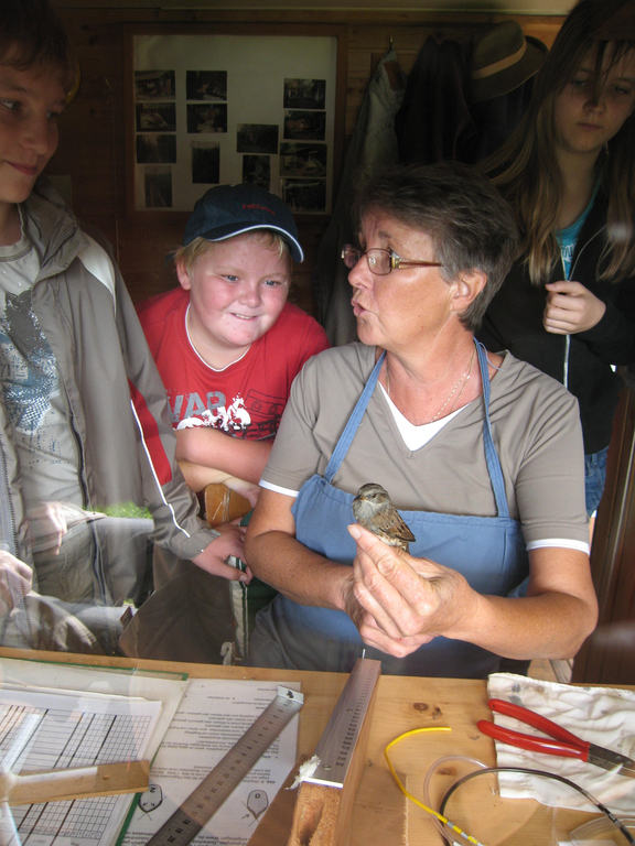 Projekt Vogelkunde 036_jpg-1275817931